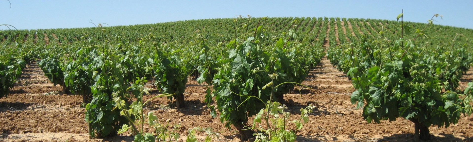 SUSTEMICROP Kick-Off Meeting Held in León